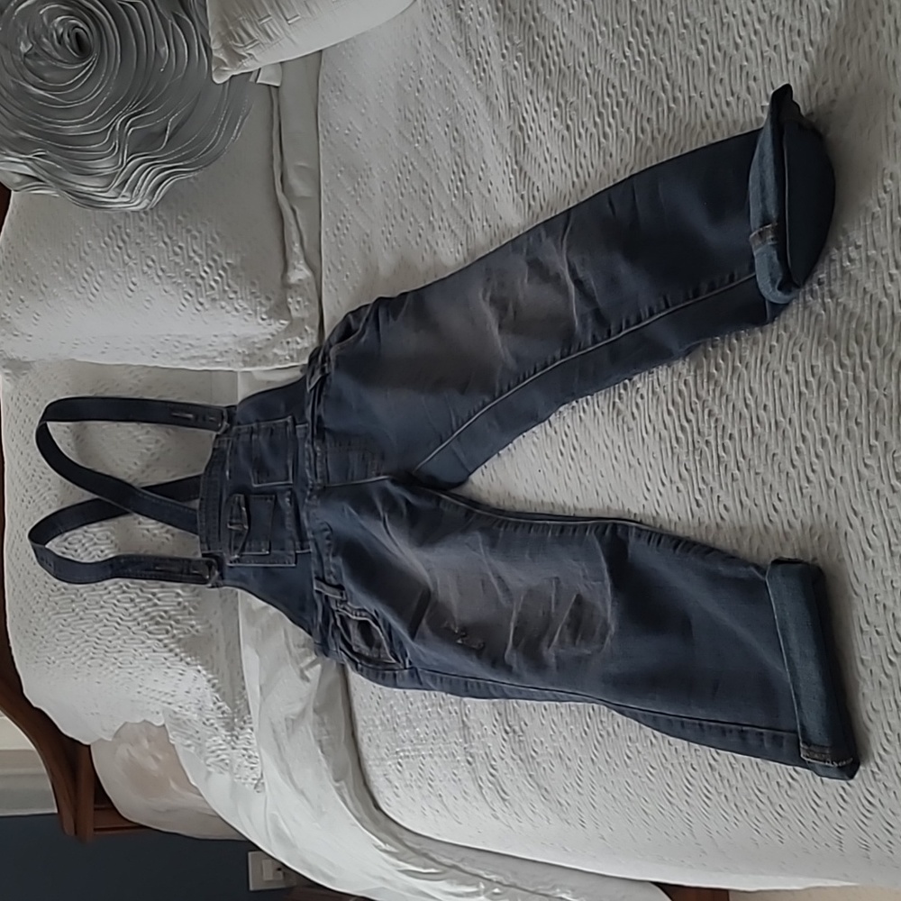 Free Prople denim overalls